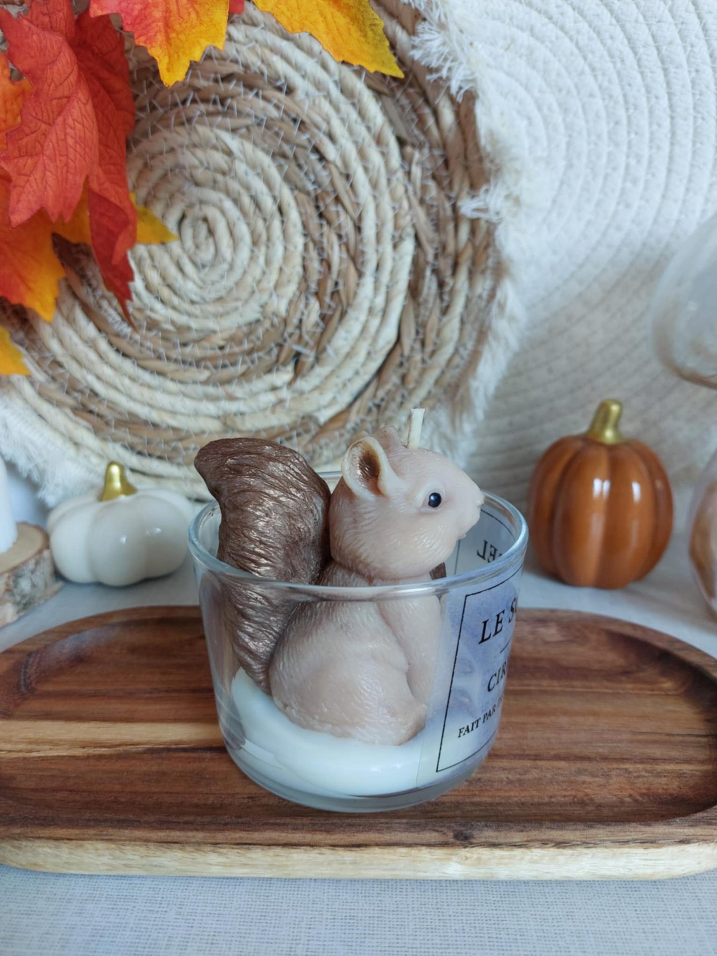 Bougie Parfumée Moyen format Le squirrel