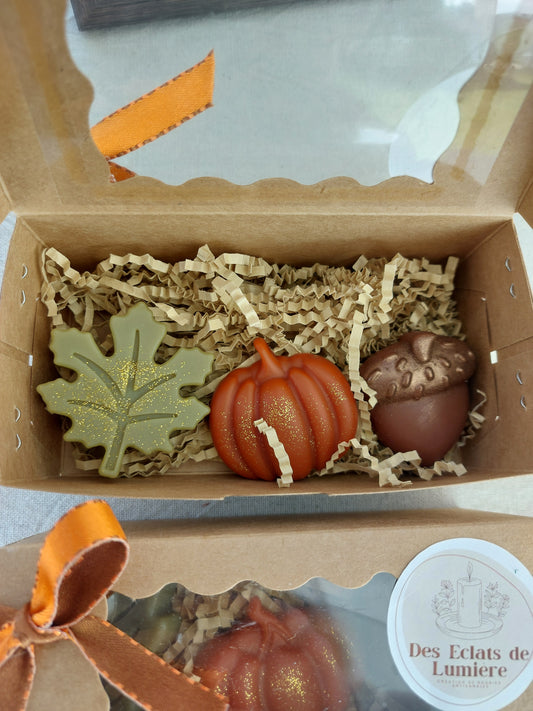 Box fondants automne