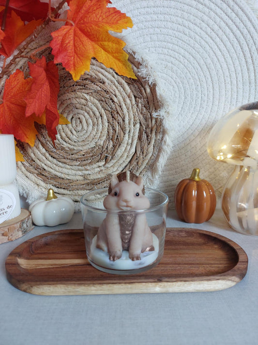 Bougie Parfumée Moyen format Le squirrel